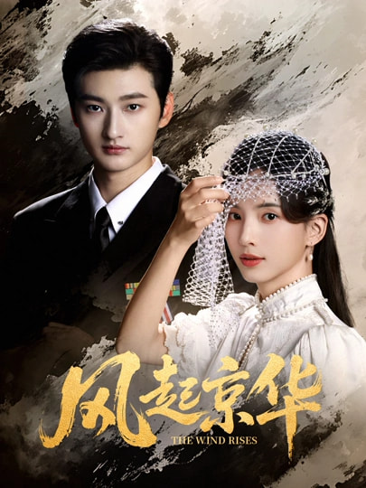 风起京华(全集)